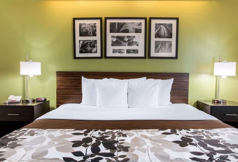 酒店 Sleep Inn & Suites