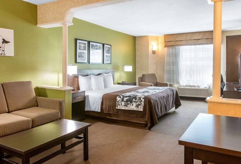 酒店 Sleep Inn & Suites