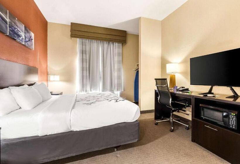 호텔 Sleep Inn & Suites Dyersburg I155