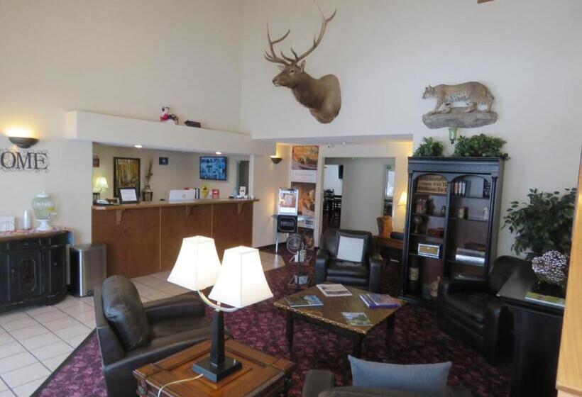 Отель Stay Wise Inn Cedaredge