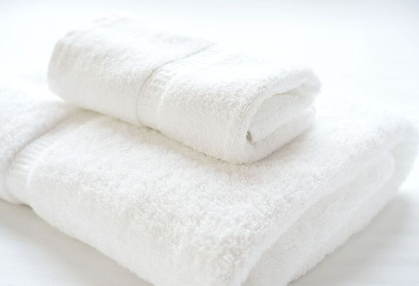 Fotos del hotel Villa Fontaine Tokyokayabacho:  8