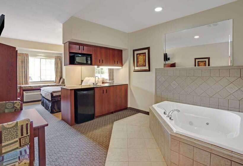 Microtel Inn & Suites By Wyndham Indianapolis Airport