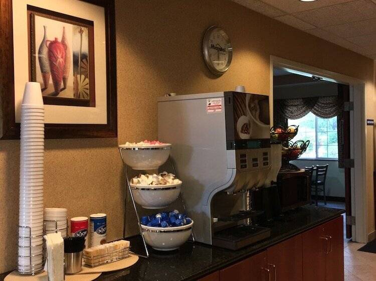 Microtel Inn & Suites By Wyndham Indianapolis Airport