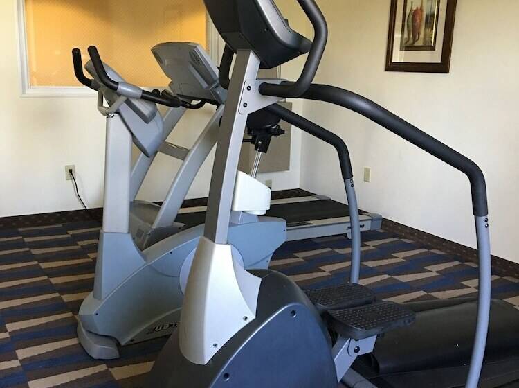 Microtel Inn & Suites By Wyndham Indianapolis Airport