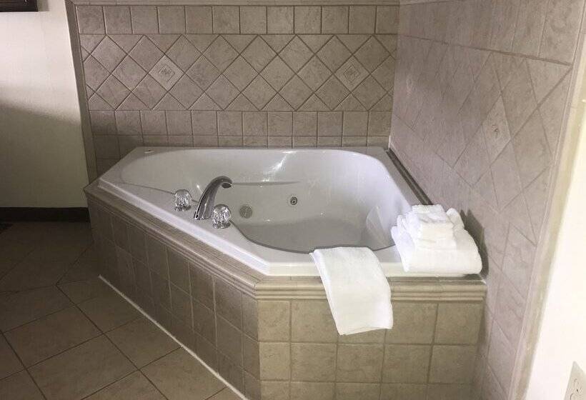 Microtel Inn & Suites By Wyndham Indianapolis Airport