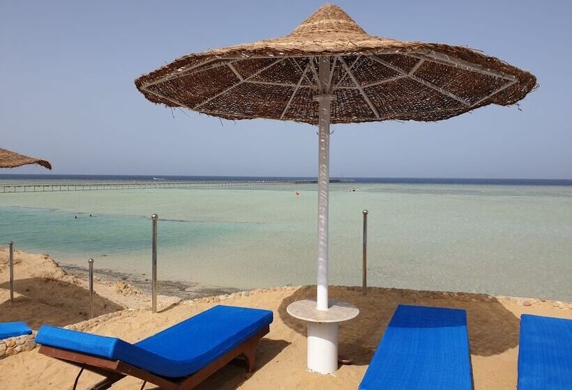 استراحتگاه Blue Reef Marsa Alam   All Inclusive