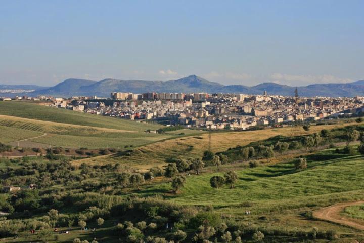 Riad Al Bartal