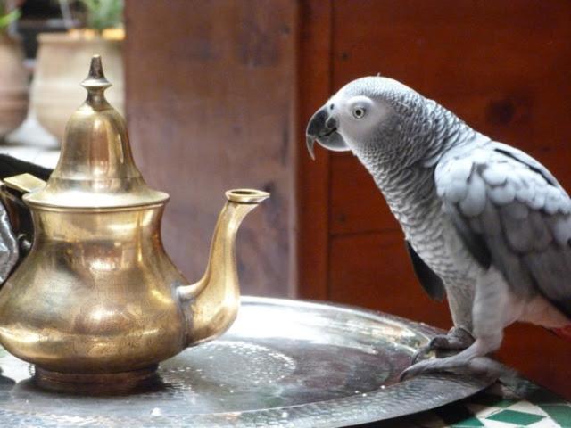 Riad Al Bartal