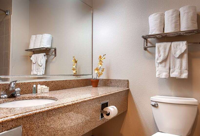 هتل Best Western Abilene Inn And Suites