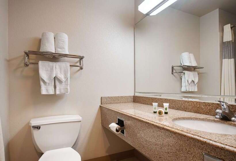 هتل Best Western Abilene Inn And Suites