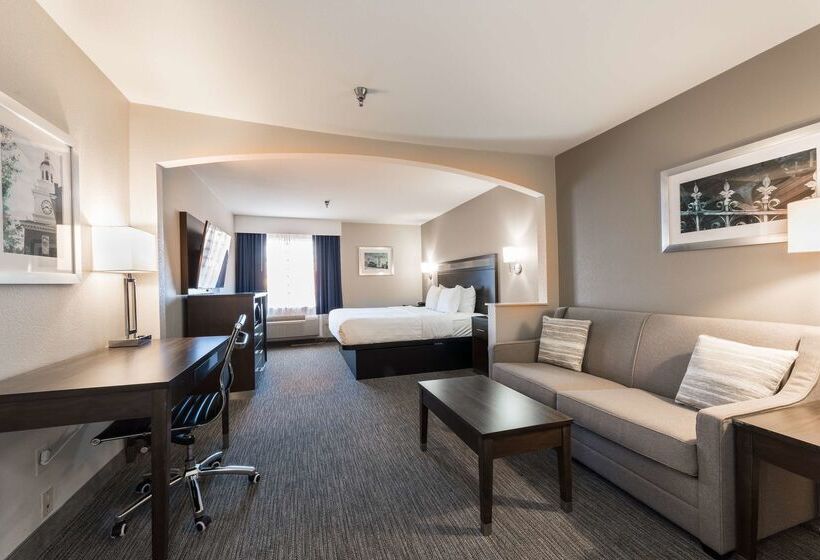 هتل Best Western Abilene Inn And Suites