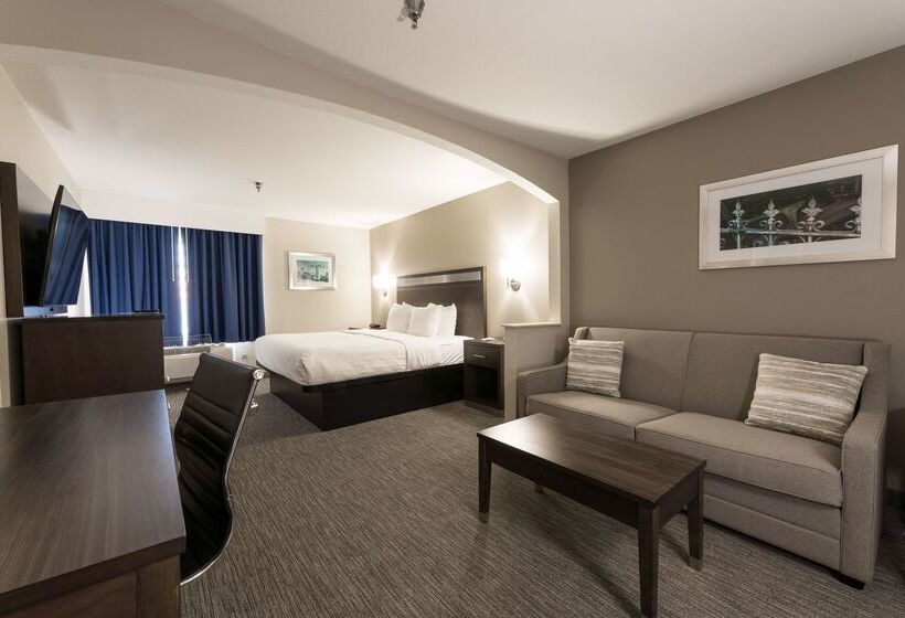 هتل Best Western Abilene Inn And Suites