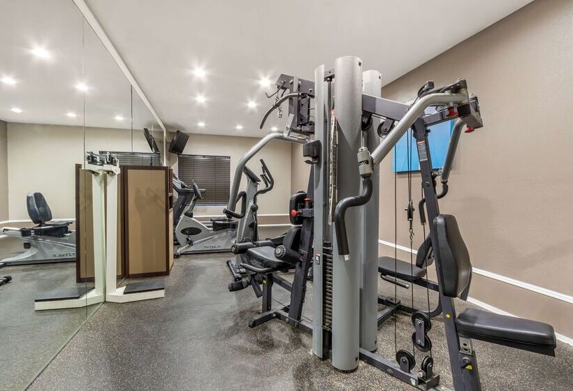 هتل Best Western Airport Inn & Suites