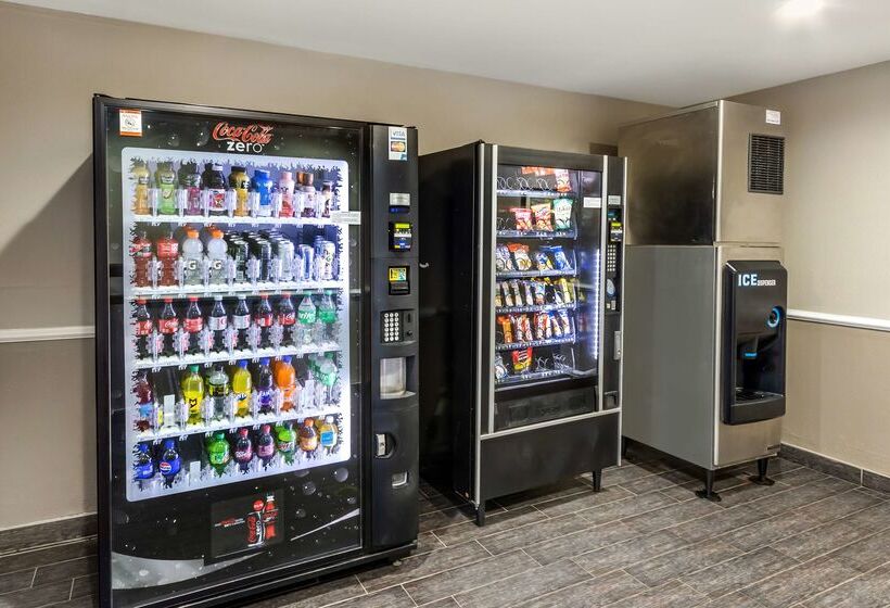 هتل Best Western Airport Inn & Suites