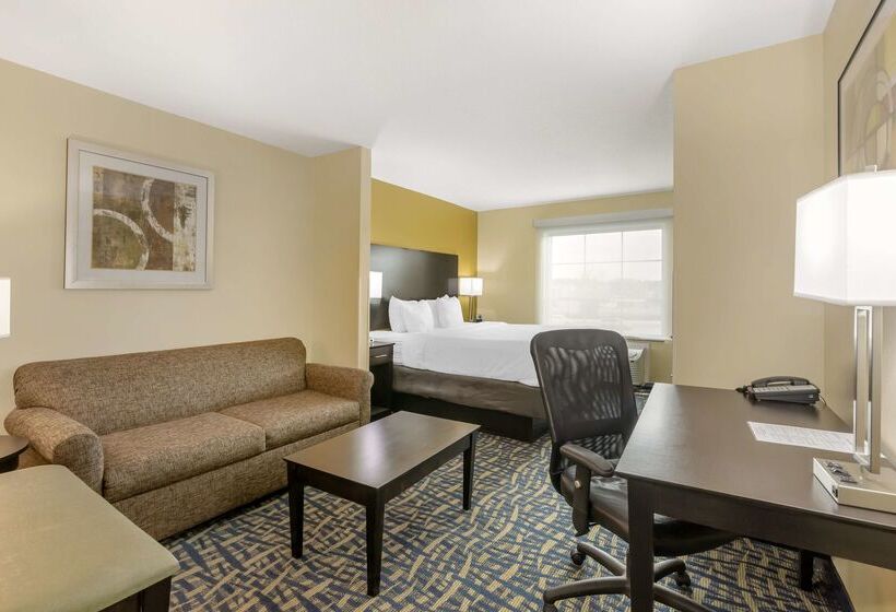 هتل Best Western Plus Brunswick Inn And Suites