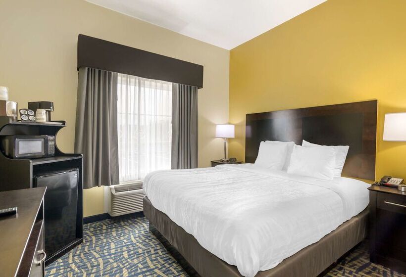 هتل Best Western Plus Brunswick Inn And Suites