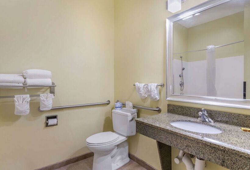 هتل Best Western Plus Brunswick Inn & Suites