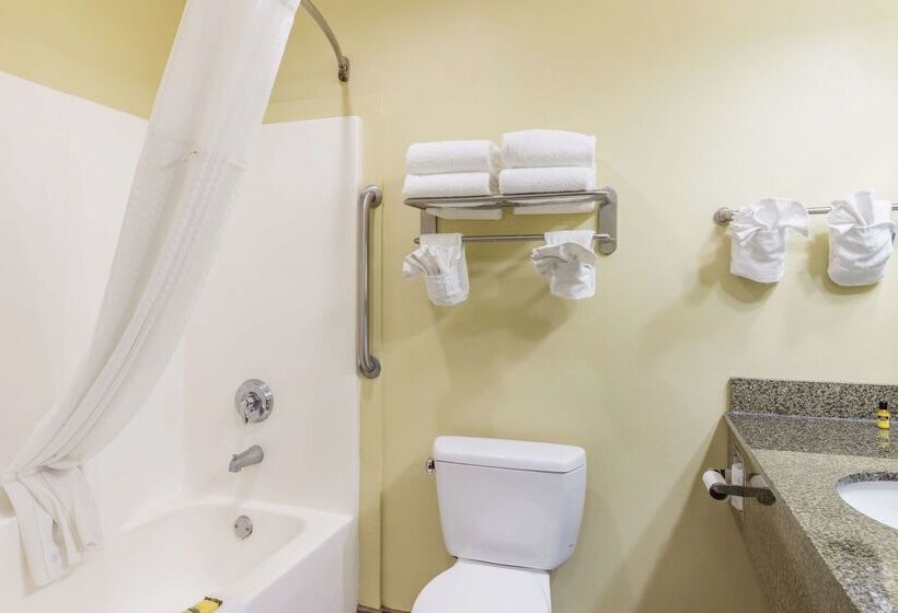 هتل Best Western Plus Brunswick Inn & Suites