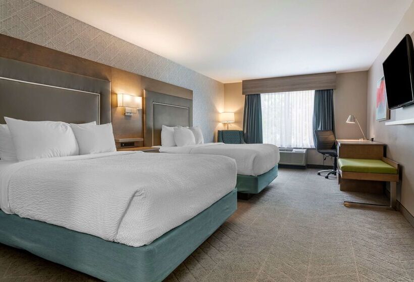 Best Western Plus Dartmouth Hotel & Suites
