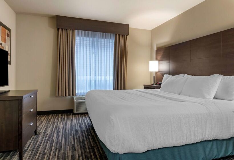 Hotel Best Western Plus Dartmouth  & Suites