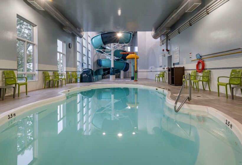 Best Western Plus Dartmouth Hotel & Suites