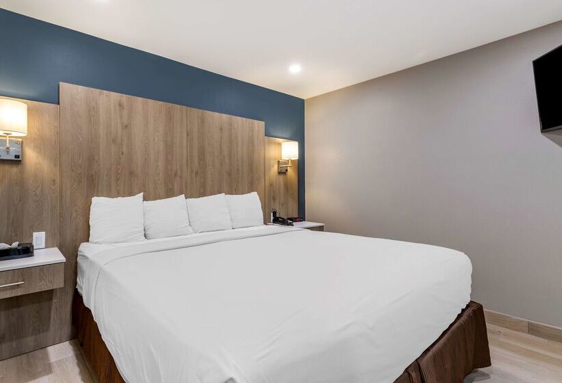 בית מלון כפרי Best Western Plus Edinburg Inn & Suites