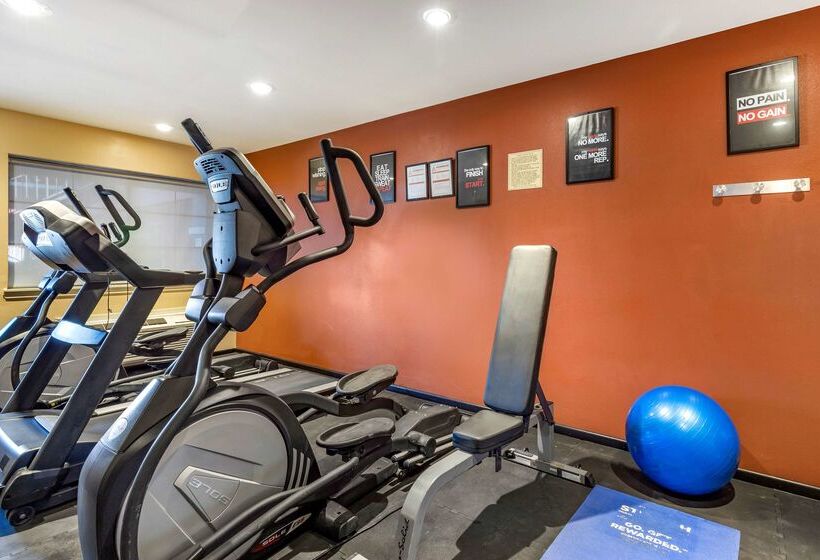 בית מלון כפרי Best Western Plus Edinburg Inn & Suites