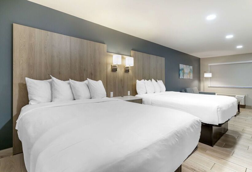 בית מלון כפרי Best Western Plus Edinburg Inn & Suites