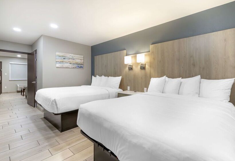בית מלון כפרי Best Western Plus Edinburg Inn & Suites