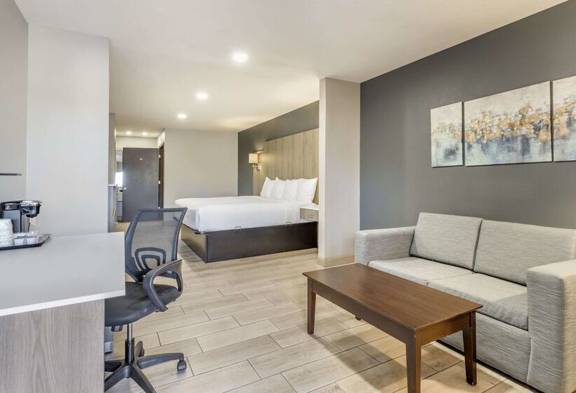 בית מלון כפרי Best Western Plus Edinburg Inn & Suites