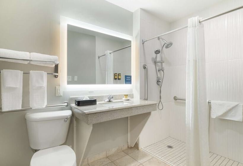 בית מלון כפרי Best Western Plus Edinburg Inn & Suites