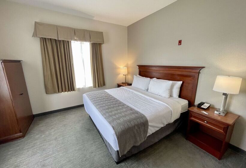 هتل Best Western Plus Executive  And Suites