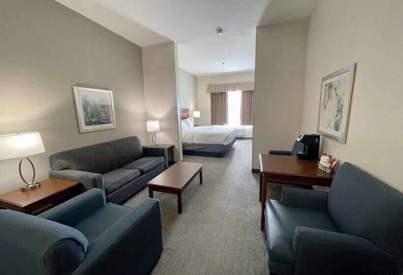 هتل Best Western Plus Executive  And Suites