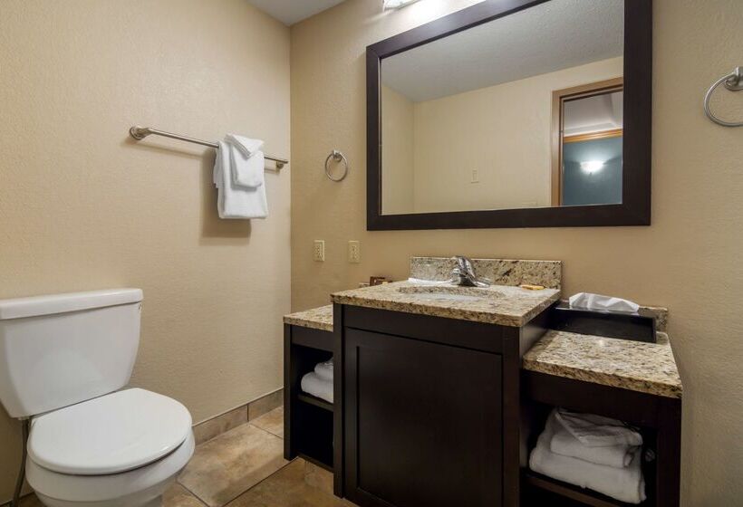 هتل Best Western Plus Kamloops