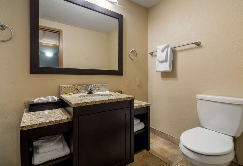هتل Best Western Plus Kamloops