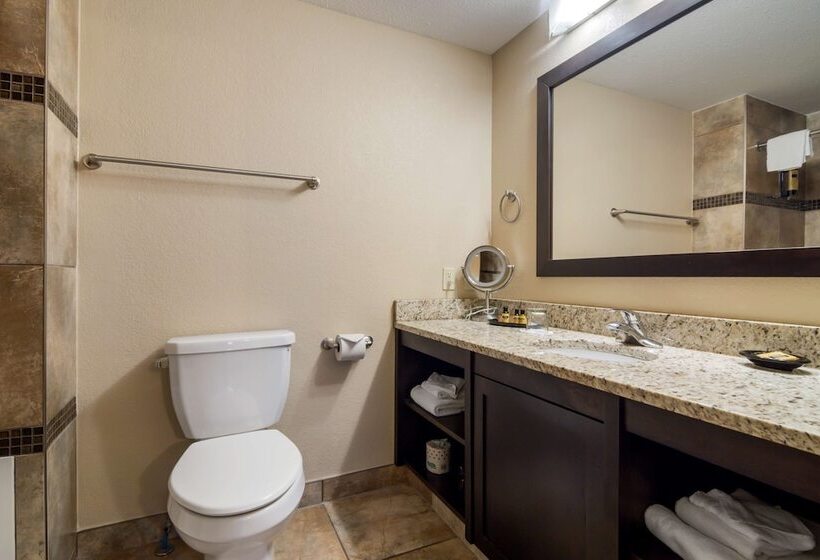 هتل Best Western Plus Kamloops