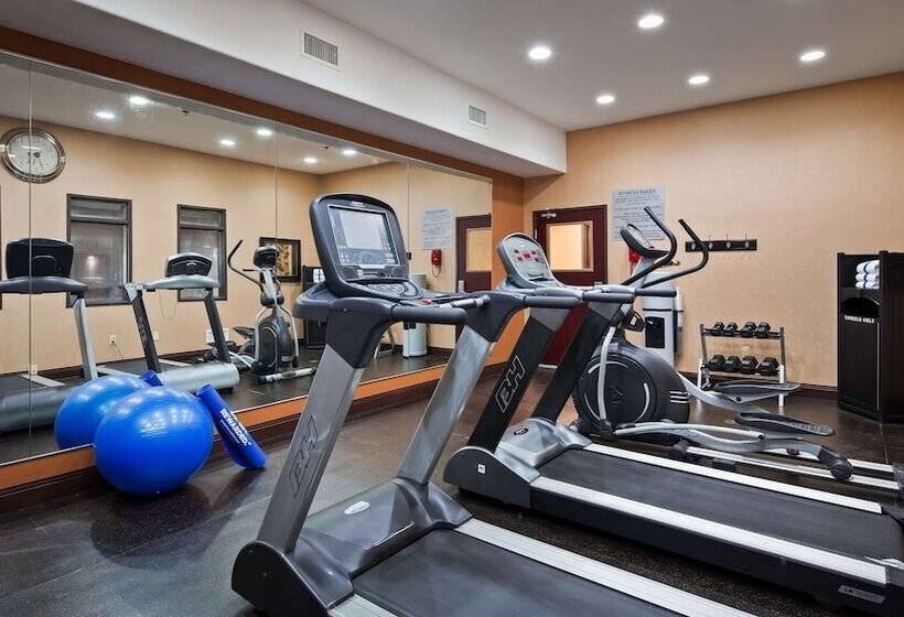 فندق Best Western Plus Kc Speedway Inn & Suites