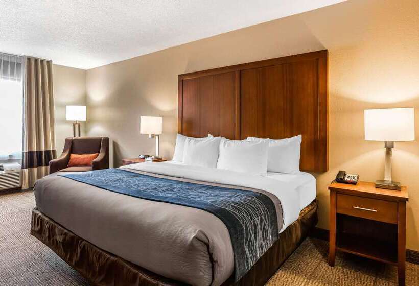 Hotel Comfort Inn And Suites Airportamerican Way