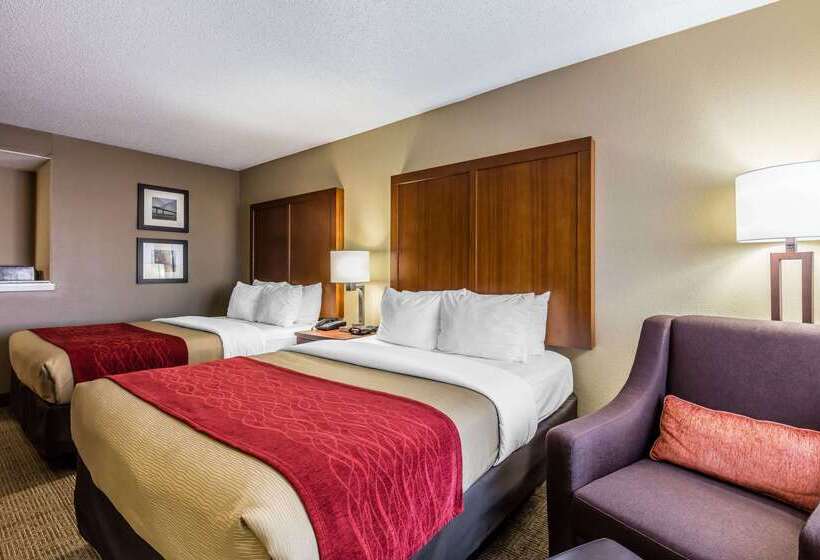 Hotel Comfort Inn And Suites Airportamerican Way