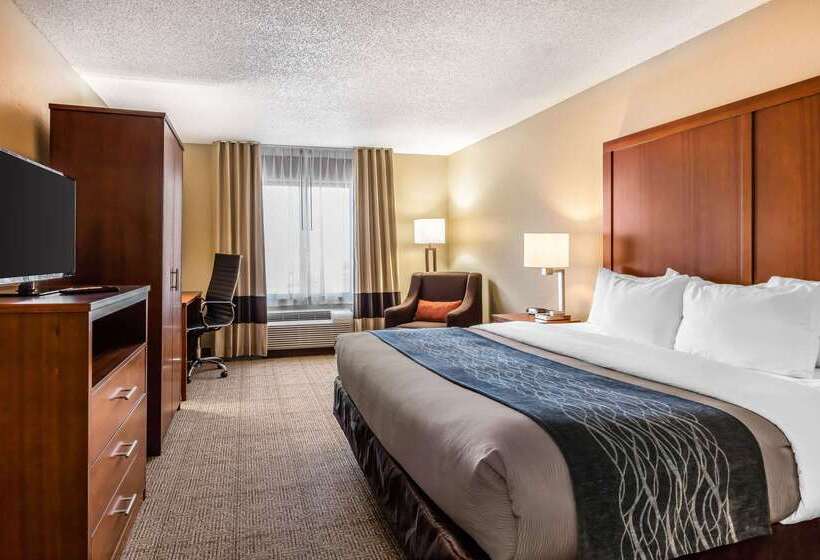 هتل Comfort Inn And Suites Airportamerican Way