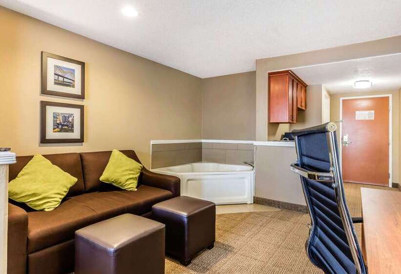 هتل Comfort Inn And Suites Airportamerican Way