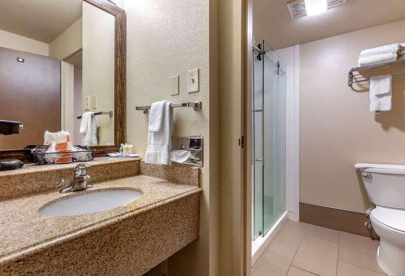 هتل Comfort Inn Santa Rosa On Route 66