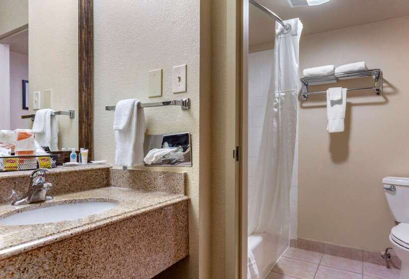 هتل Comfort Inn Santa Rosa On Route 66