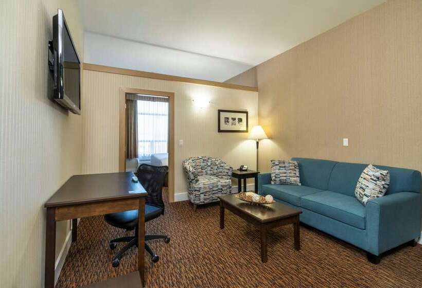 Hotel Comfort Inn & Suites