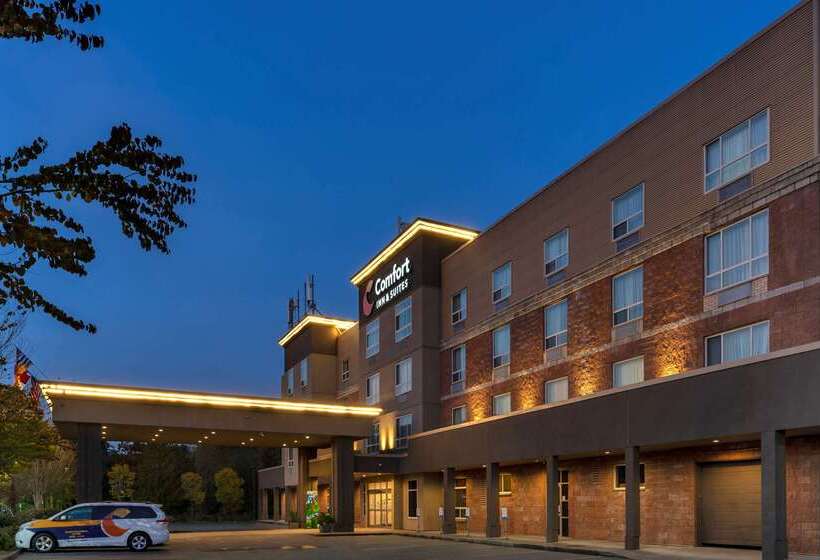 Hotel Comfort Inn & Suites