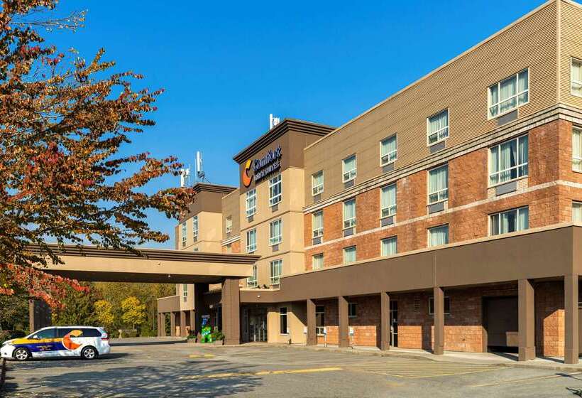 Hotel Comfort Inn & Suites