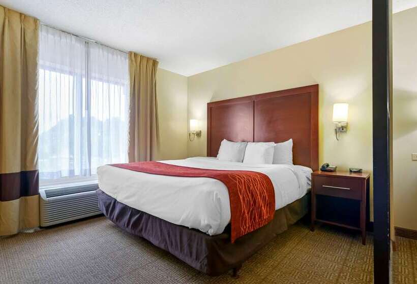 هتل Comfort Suites Fultondale I65 Near I22