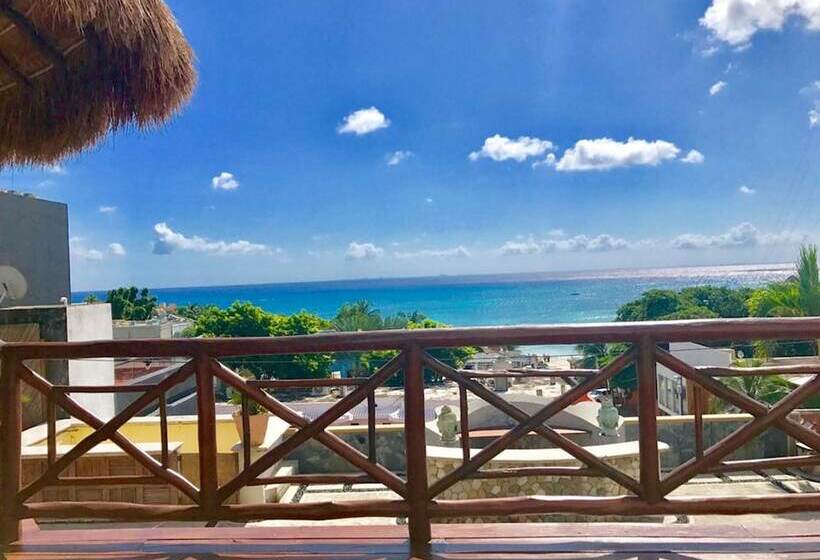 Fotos del hotel Cielo:  9