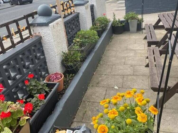 Fotos del hotel Hawkes Hotel:  27