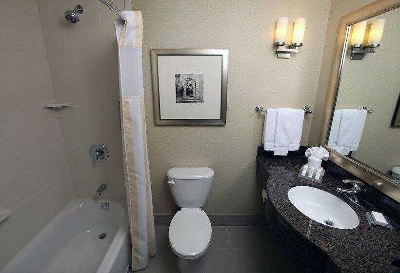 هتل Hilton Garden Inn Sioux Falls South